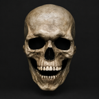 Full Head Skull Mask with Movable Jaw in Black