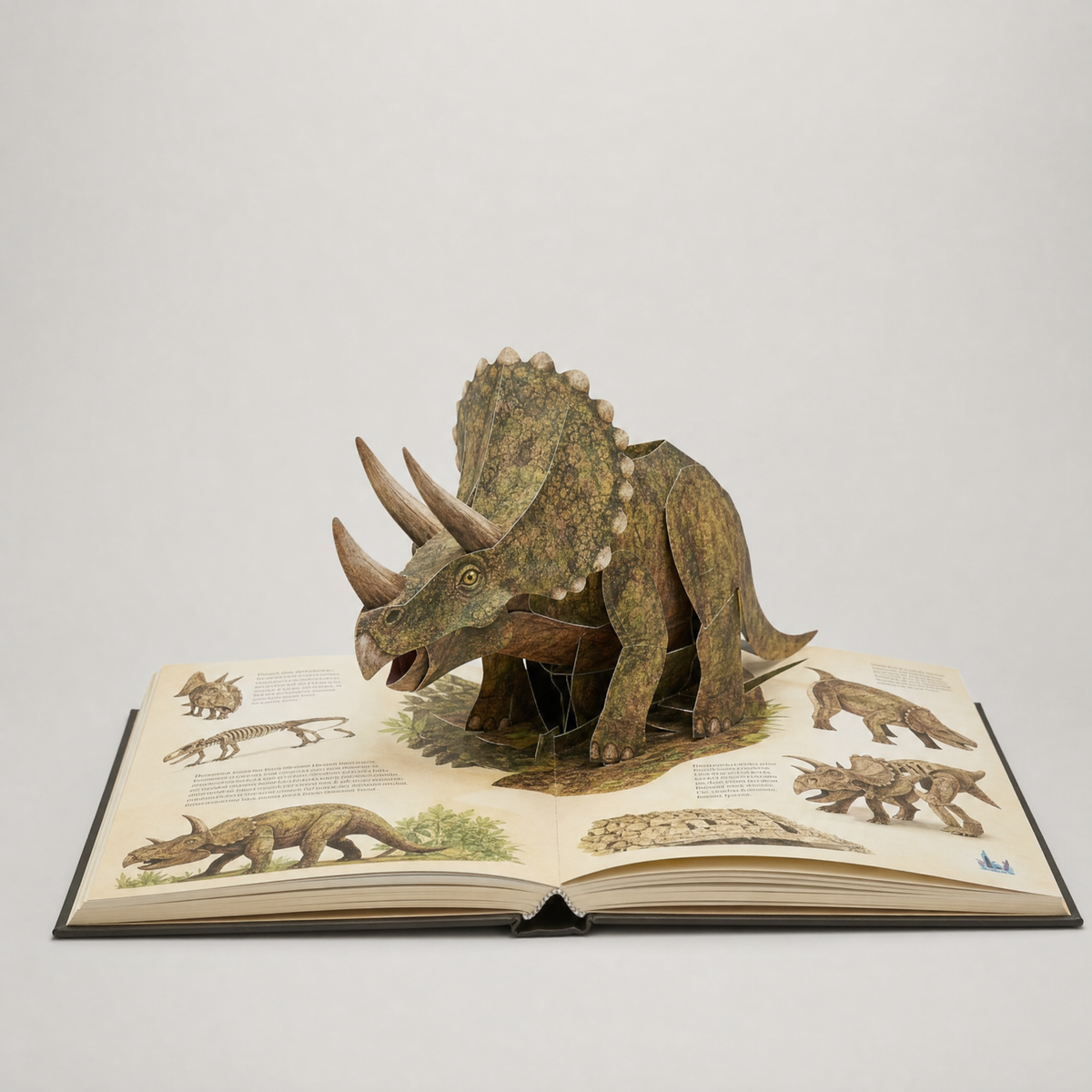 Fossilbrook 3D Dinosaur Pop-Up Book with Interactive Scenes, view 4