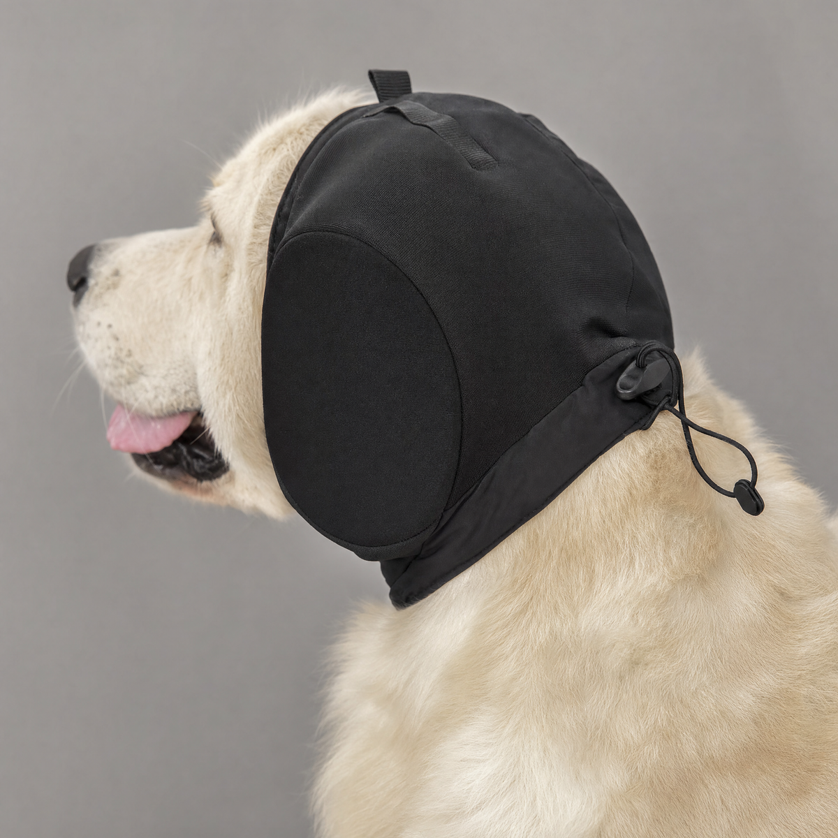 Hushpaws Dog Ear Muffs for Noise Reduction with Adjustable Fit, view 5