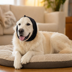 Hushpaws Dog Ear Muffs for Noise Reduction with Adjustable Fit, view 2
