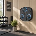 Strikezone Wall-Mounted Boxing Trainer