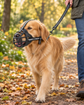 Dog wearing the Rufford soft silicone basket muzzle on a countryside walk