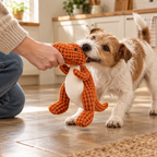 Tug game with the Pickering dinosaur dog toy